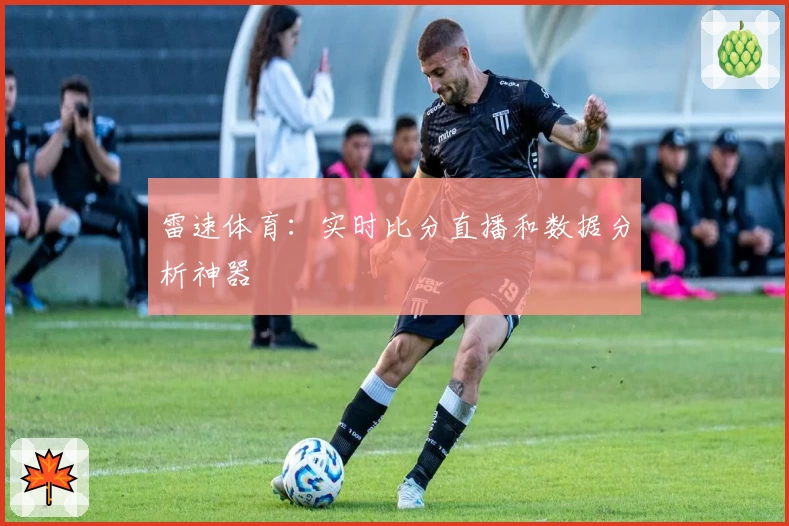 雷速体育：实时比分直播和数据分析神器